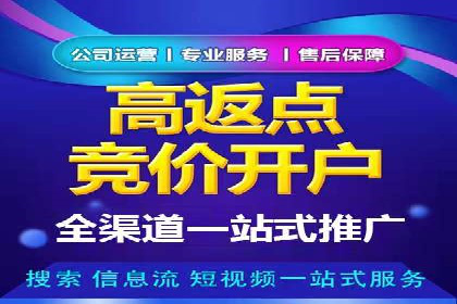 百度推广优化实战技巧与案例解析